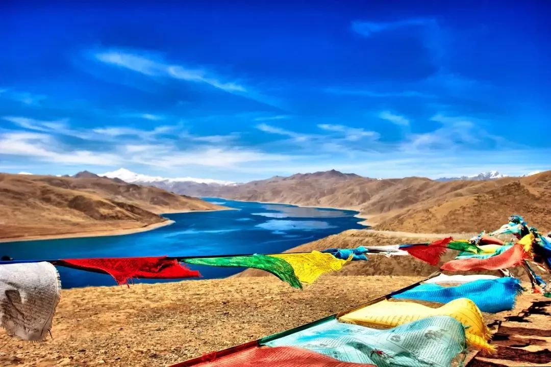 西藏，共聚一堂，共话教育未来